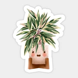 Cute Plant Illustration, Calathea Triostar Illustration 3 Sticker